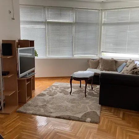 Apartment Igor *